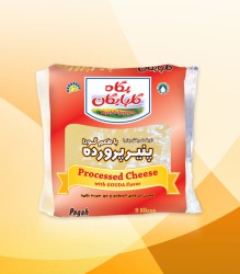 1596350837-h-250-Slice-Gouda-processed-cheese.jpg