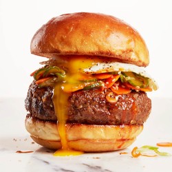 1704381643-h-250-65-Which-is-Healthier-Burger-vs-Hot-Dog-1.jpg