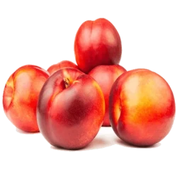 1763804931-h-250-شلیل.webp