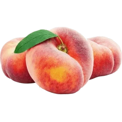 1763805730-h-250-انجیری.webp