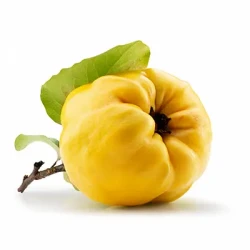 1763809581-h-250-به.webp