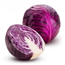 1763881550-h-250-red-cabbage-01.jpg