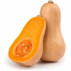1763882662-h-250-560x560.webp