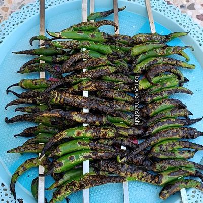 1766411907-photo.jpg
