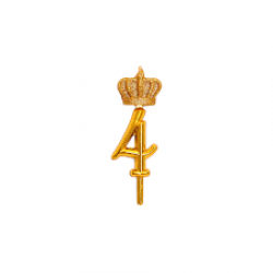 1767856227-h-250-تاج.png