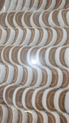 1773385533-h-250-IMG_7776.jpeg